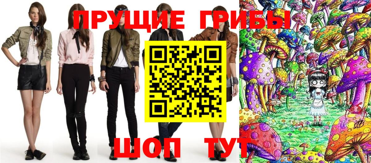 Галлюциногенные грибы Psilocybe Конаково