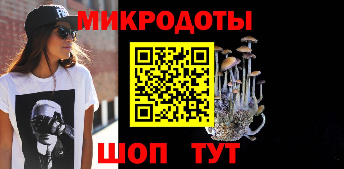 Псилоцибиновые грибы Psilocybe  Псилоцибиновые грибы прущие грибы  Конаково  Вход с VPN 